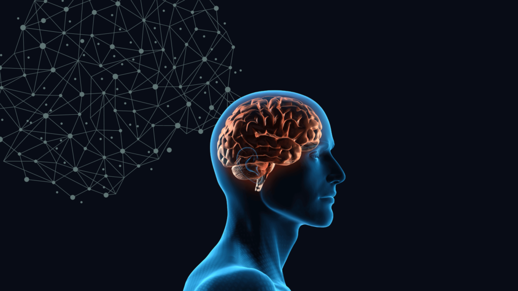 Como funciona a Inteligência Artificial